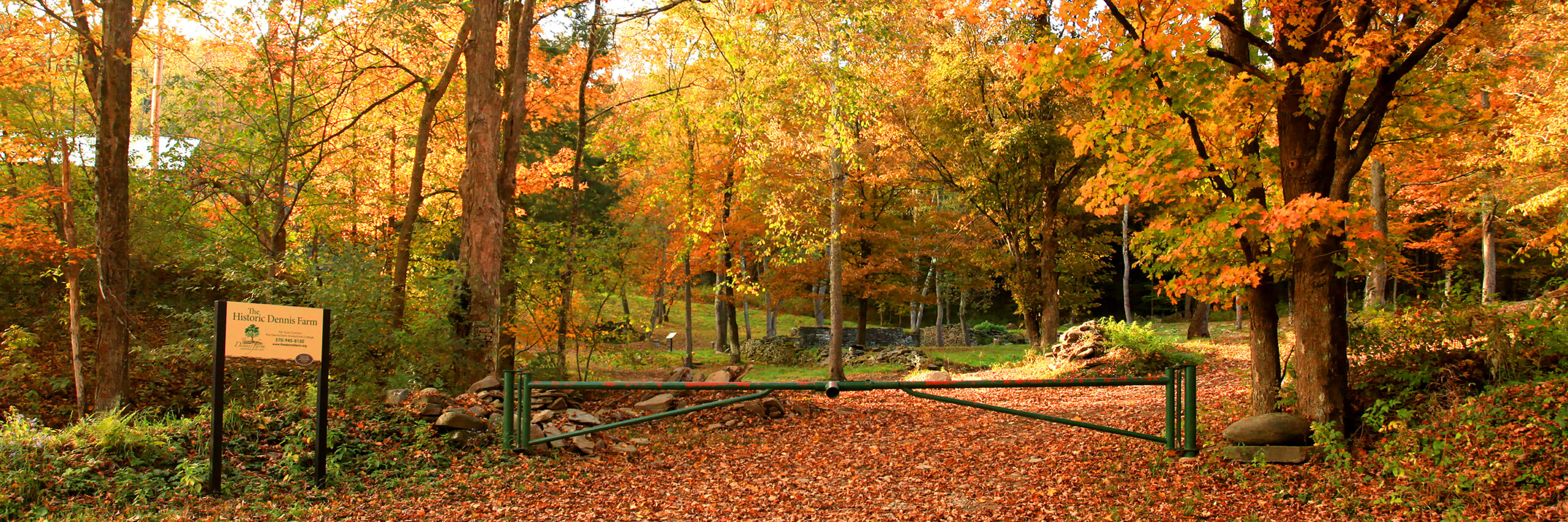 dennis farm in the fall